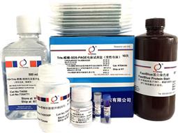 Tris-醋酸-SDS-PAGE電泳試劑盒（變性電泳，含預制膠）