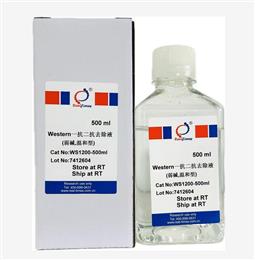 Western一抗二抗去除液（弱堿，溫和型）